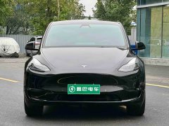 Tesla Model Y long-range all-wheel drive version - фото 2