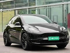 Tesla Model Y long-range all-wheel drive version - фото 3