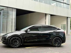 Tesla Model Y long-range all-wheel drive version - фото 5