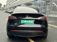 Tesla Model Y long-range all-wheel drive version - фото 6