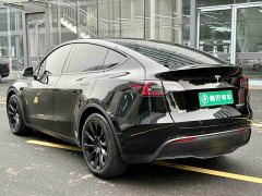 Tesla Model Y long-range all-wheel drive version - фото 7