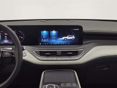 Lynk & Co Lingyu EcoBoost 225 platinum collar type 7 seats (2/2/3) - фото 12