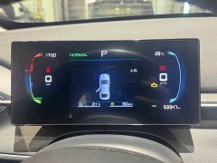 BYD Destroyer 05 Honor Edition DM-i 55KM Luxury Type - фото 10