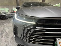 BYD Destroyer 05 Honor Edition DM-i 55KM Luxury Type - фото 19