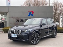 BMW X5 xDrive40Li M Sport Night Package - фото 13