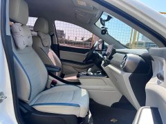 BYD Yuan Pro 401KM luxury - фото 14