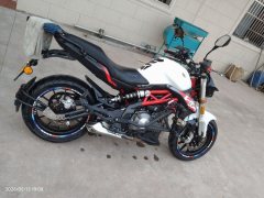 Benelli BJ300GS - фото 2