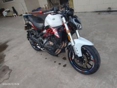 Benelli BJ300GS - фото 3