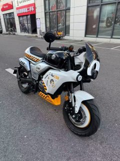 Zongshen Little Bear 150 cc - фото 3