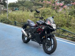 Jinan Suzuki Geek Gixxer 155 - фото 2