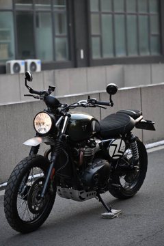 Triumph Scrambler 900 - фото 1