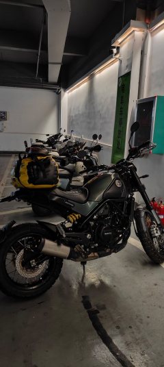 Benelli Lion Cub Leoncino 500 - фото 1