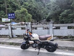 Zongshen Little Bear 150 cc - фото 1
