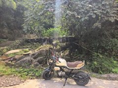 Zongshen Little Bear 150 cc - фото 2