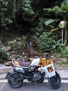 Zongshen Little Bear 150 cc - фото 3