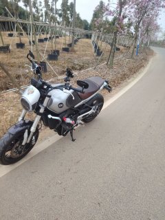 QJMOTOR Escape 550 - фото 1