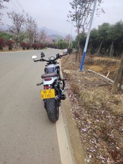 QJMOTOR Escape 550 - фото 5