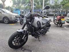 Benelli Lion Cub Leoncino 500 - фото 1