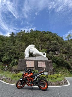 KTMR2R 390 Duke 400 cc - фото 2