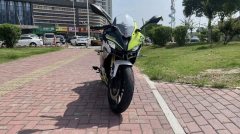QJMOTOR SRK 250 - фото 2