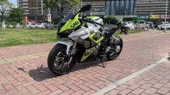 QJMOTOR SRK 250 - фото 3