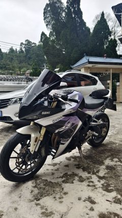 Kayo 321RR 320 cc - фото 6