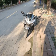 Dayun Tianxun 200R - фото 2