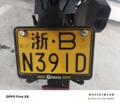 Benelli BKX250 - фото 6