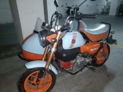 Stoner Monkey 125 Sidecar - фото 1