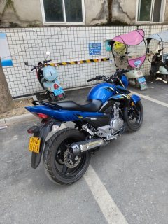 Haojue Suzuki GW250 - фото 2