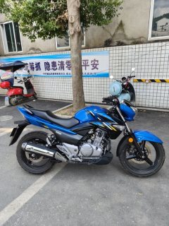 Haojue Suzuki GW250 - фото 3