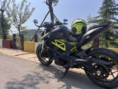 QJMOTOR Chase 350 - фото 2