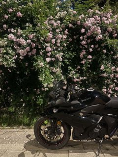 Haojue Suzuki GSX250R - фото 2