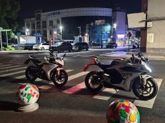 Kayo 250RR Thornbird - фото 1