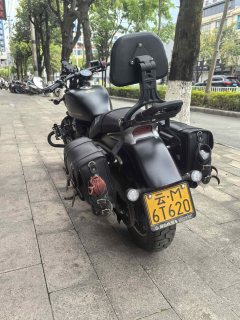 QJMOTOR 350 - фото 4