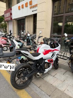 QJMOTOR SRK 250 - фото 2
