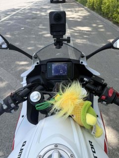 QJMOTOR SRK 250 - фото 3