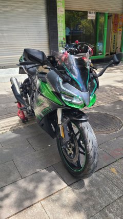 Voge 250RR - фото 5