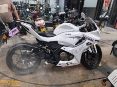 QJMOTOR SRK 250 - фото 1