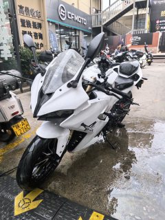 QJMOTOR SRK 250 - фото 2