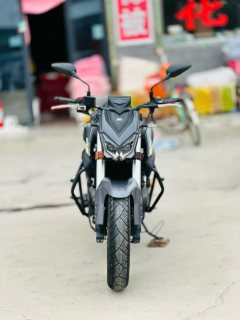 QJMOTOR Chase 350 - фото 2