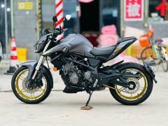 QJMOTOR Chase 350 - фото 4