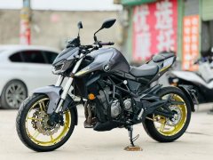 QJMOTOR Chase 350 - фото 6