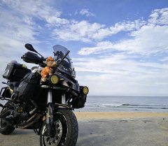 Benelli Jinpeng TRK502 500 cc - фото 1
