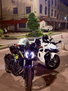 QJMOTOR 350 - фото 3