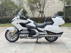 Honda Gold Wing GL1800 - фото 7