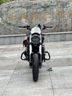 Cyclone RE600 560 cc - фото 4