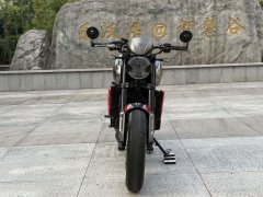 Triumph Trident 660 - фото 7