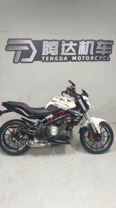 Benelli TNT 300 / BN 302S - фото 6