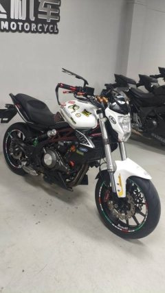 Benelli TNT 300 / BN 302S - фото 8
